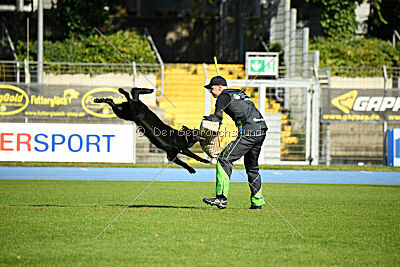 Lennox vom Ecke