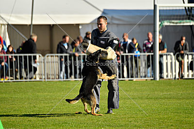 Lennox von der Rußhütte