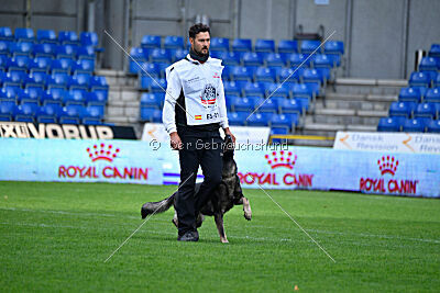 Leo de Jardines del Real