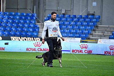 Leo de Jardines del Real