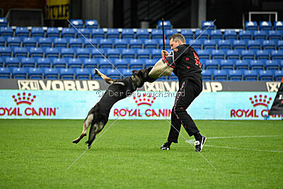 Leo de Jardines del Real