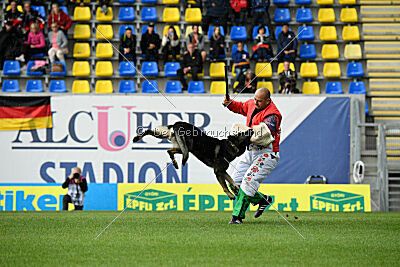 Leo de Jardines del Real