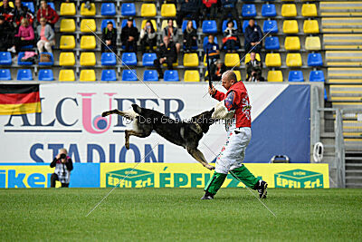 Leo de Jardines del Real