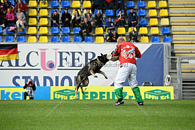 Leo de Jardines del Real