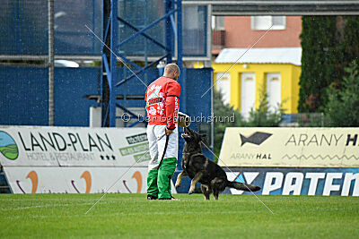 Leo de Jardines del Real