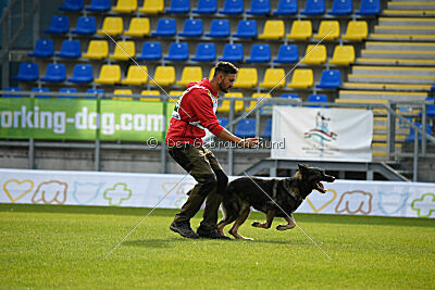 Leo de Jardines del Real