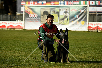 Leo de Jardines del Real