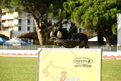 Leo de Jardines del Real