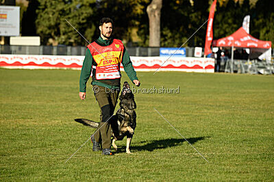 Leo de Jardines del Real