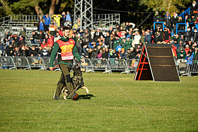 Leo de Jardines del Real