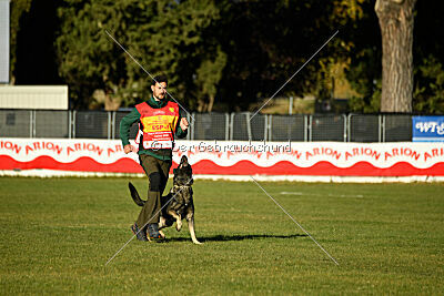 Leo de Jardines del Real