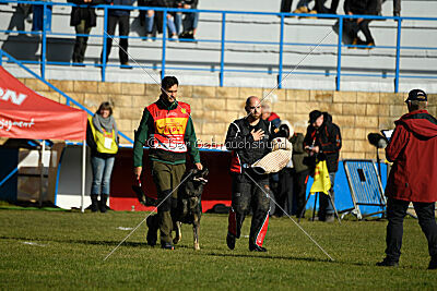 Leo de Jardines del Real