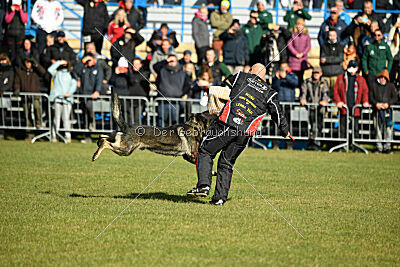 Leo de Jardines del Real