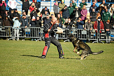Leo de Jardines del Real