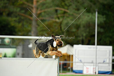 Leonas von der Heinrichsburg