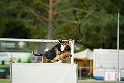 Leonas von der Heinrichsburg