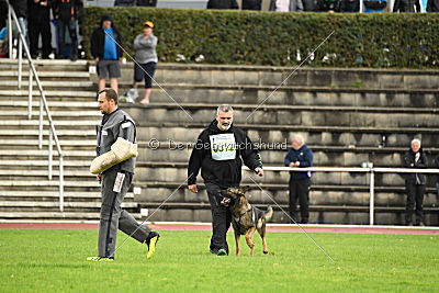 Leska vom Mühlenknapp