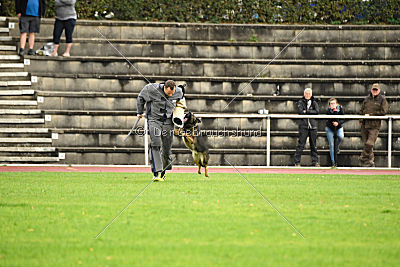 Leska vom Mühlenknapp