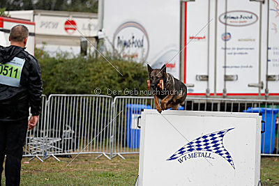 Leska vom Mühlenknapp