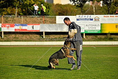 Leska vom Mühlenknapp