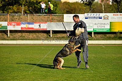 Leska vom Mühlenknapp