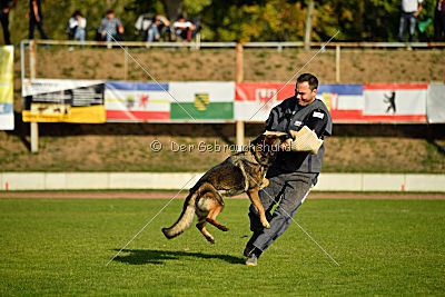 Leska vom Mühlenknapp