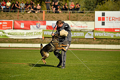 Leska vom Mühlenknapp