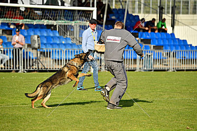 Leska vom Mühlenknapp