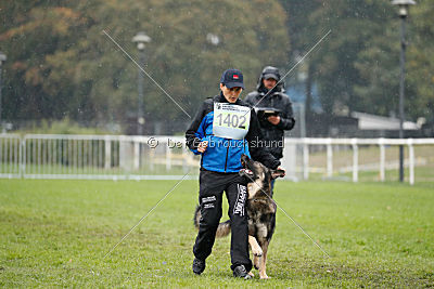 Lesko von der Sigisliebe