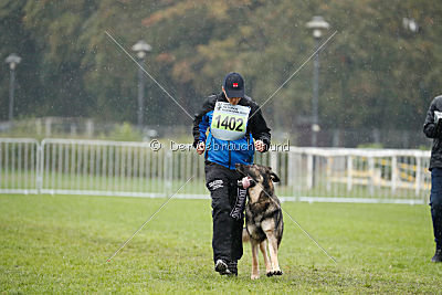 Lesko von der Sigisliebe