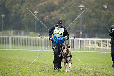 Lesko von der Sigisliebe