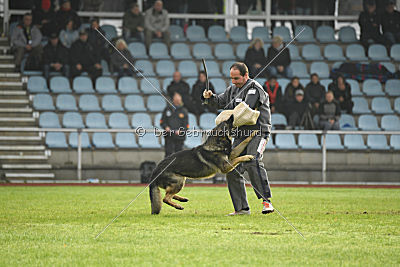 Lesko von der Sigisliebe