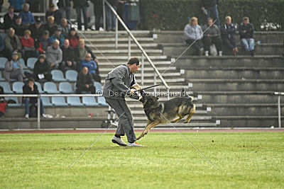 Lesko von der Sigisliebe