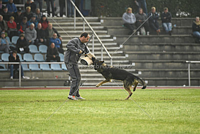 Lesko von der Sigisliebe
