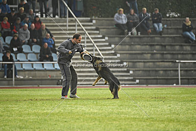 Lesko von der Sigisliebe