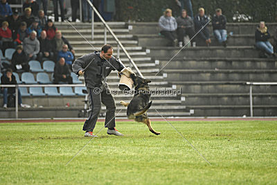 Lesko von der Sigisliebe