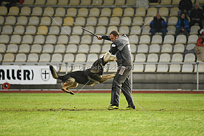 Lesko von der Sigisliebe