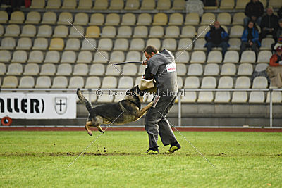 Lesko von der Sigisliebe