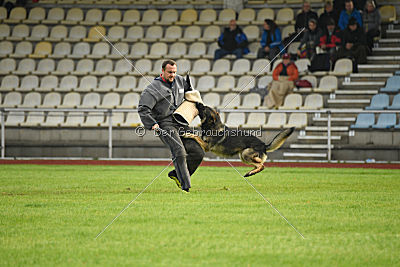 Lesko von der Sigisliebe