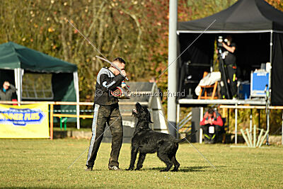 Leto Laran Goldest Danubius