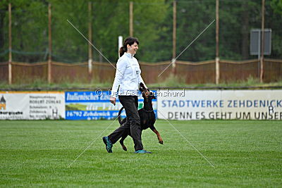 Lexa vom Hellerwald