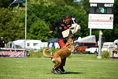 Lexus-Silvester vom Lausitzeck