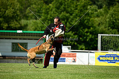 Lexus-Silvester vom Lausitzeck