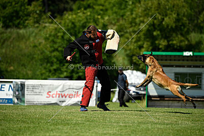 Lexus-Silvester vom Lausitzeck