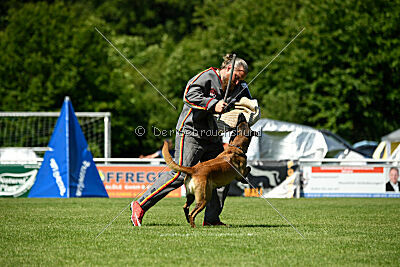 Lexus-Silvester vom Lausitzeck