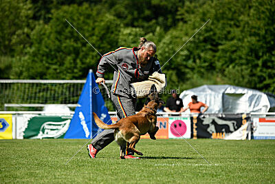 Lexus-Silvester vom Lausitzeck
