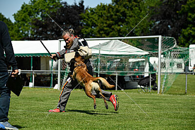 Lexus-Silvester vom Lausitzeck