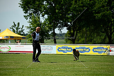 Lexus-Silvester vom Lausitzeck