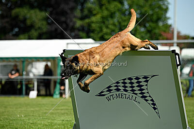 Lexus-Silvester vom Lausitzeck