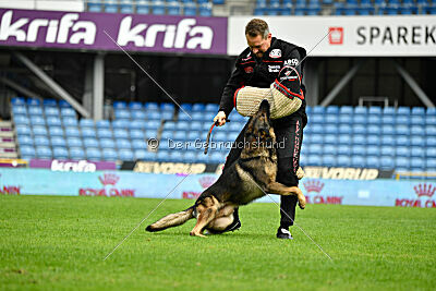 Life vom Kämpferherz